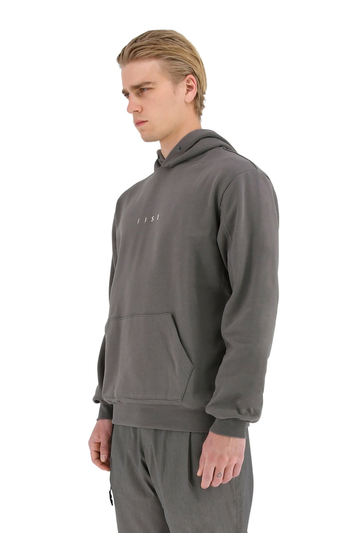 Logo Panel Hoodie, Stone